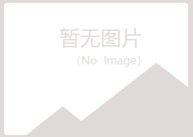 平塘县晓绿金融有限公司